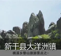 新干县大洋洲镇